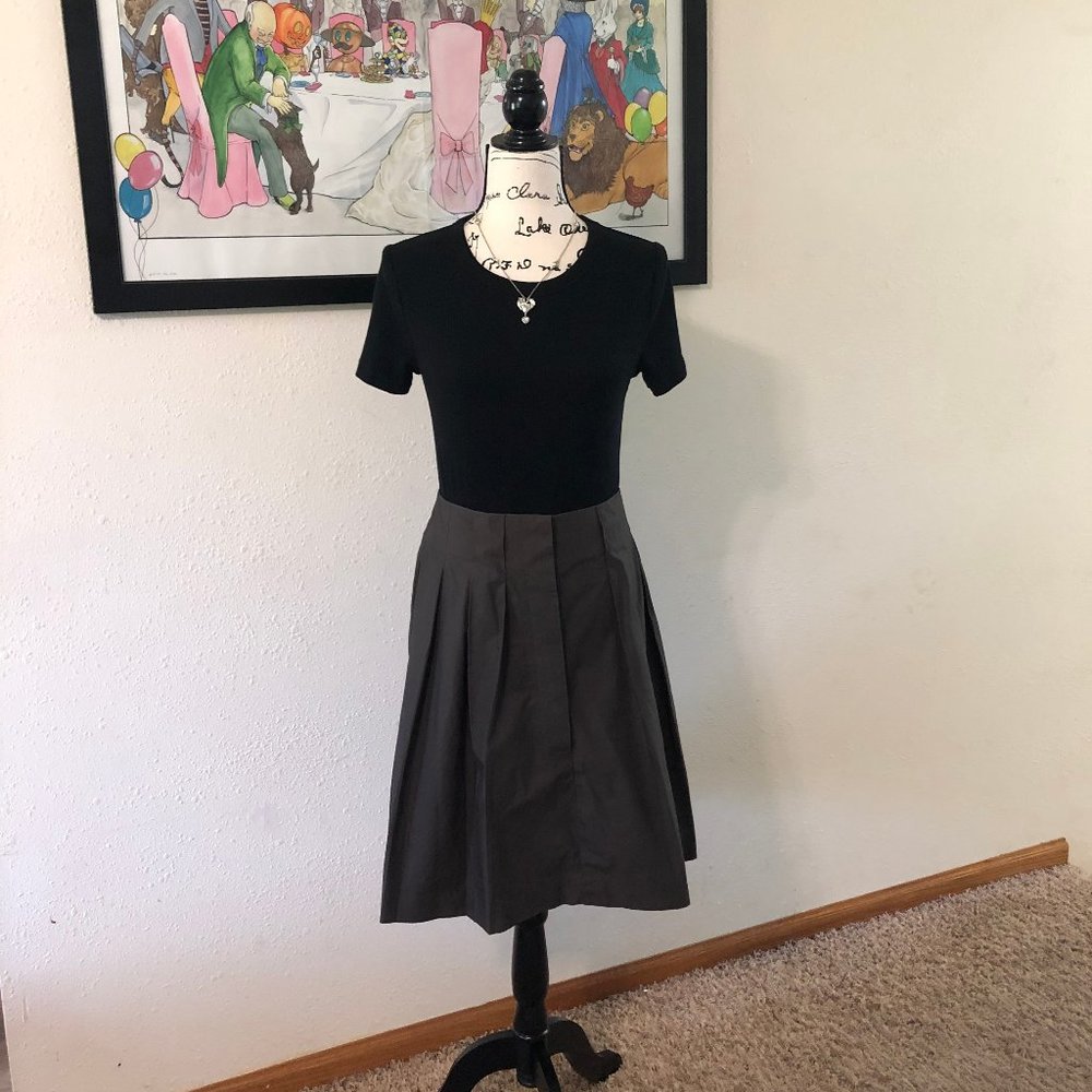 Banana Republic Pleated Skirt